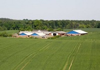 Feldbakgård